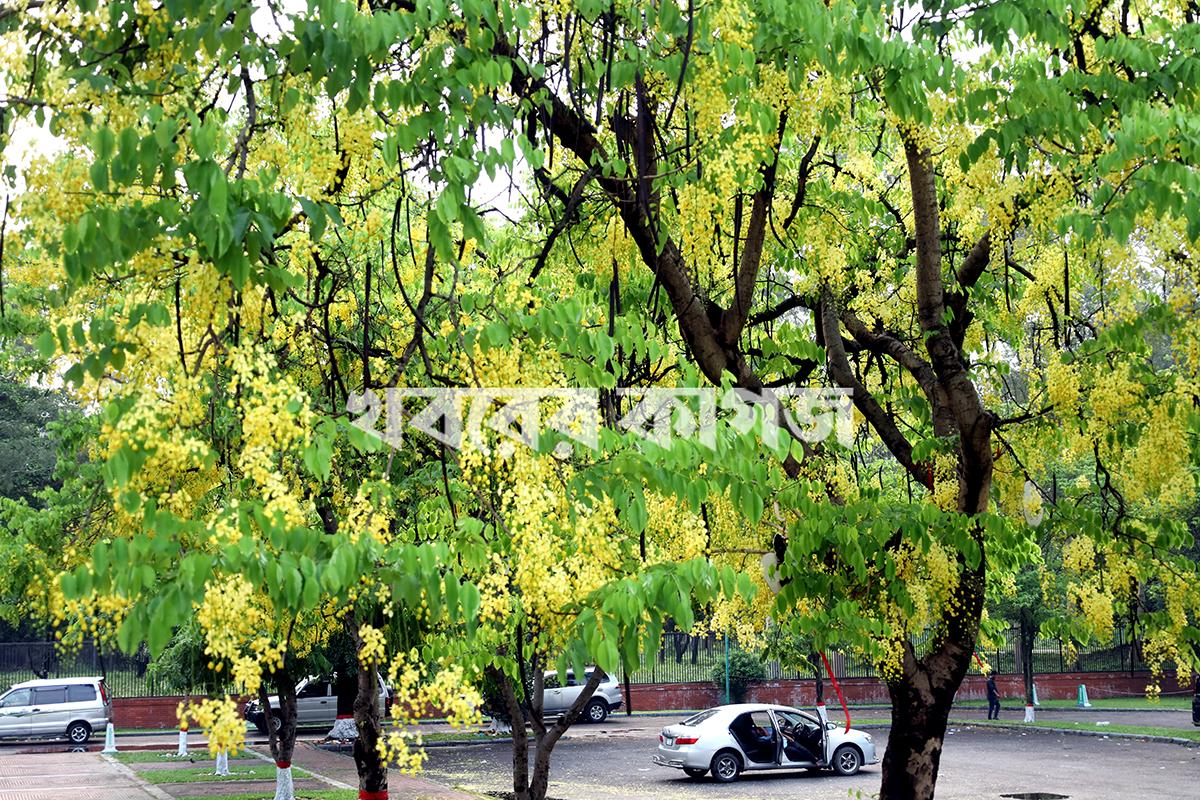 ওসমানী স্মৃতি মিলনায়তন